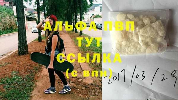 гашик Снежногорск