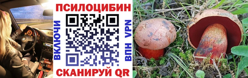 Купить  Нижний Новгород  Псилоцибиновые грибы мицелий 